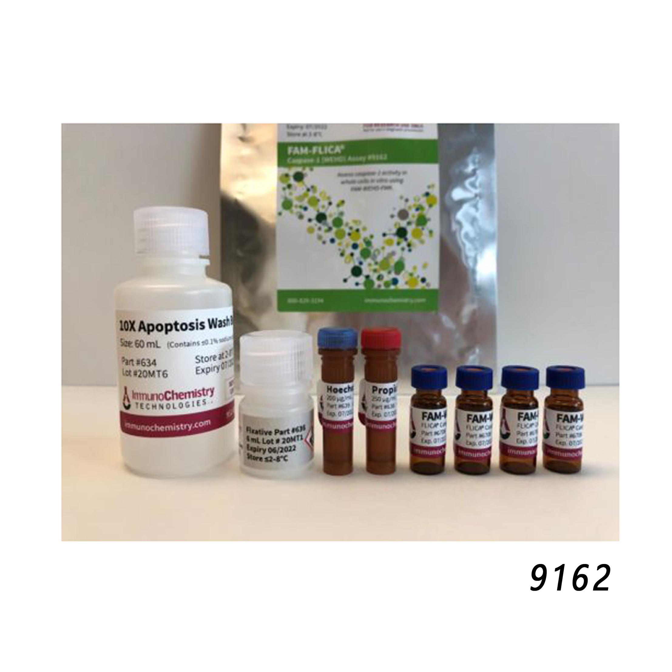 SR-FLICA®聚半胱天冬酶检测试剂盒 SR-FLICA® Poly Caspase Assay Kit
